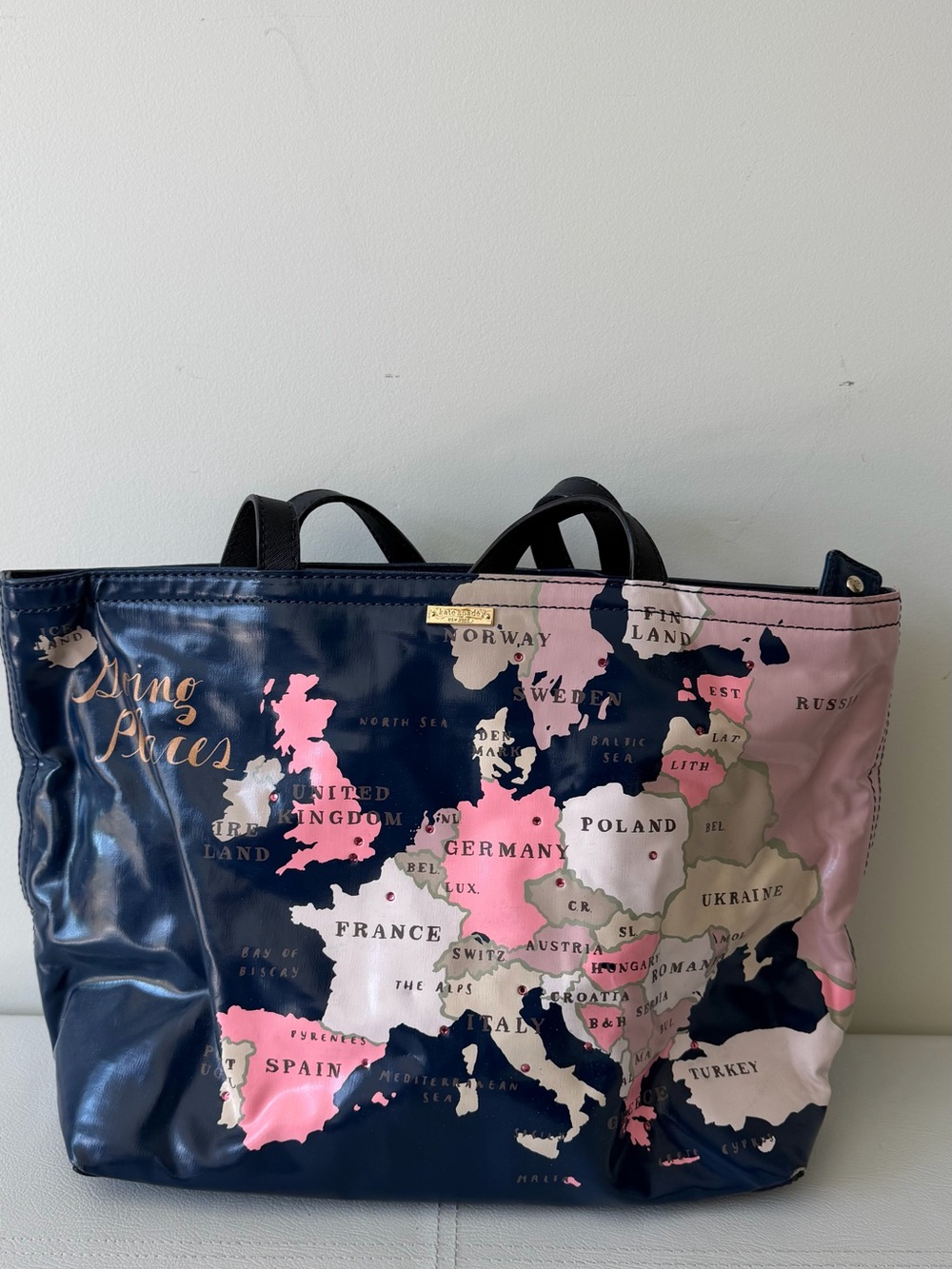 kate spade Navy and Pink Europe Map Tote